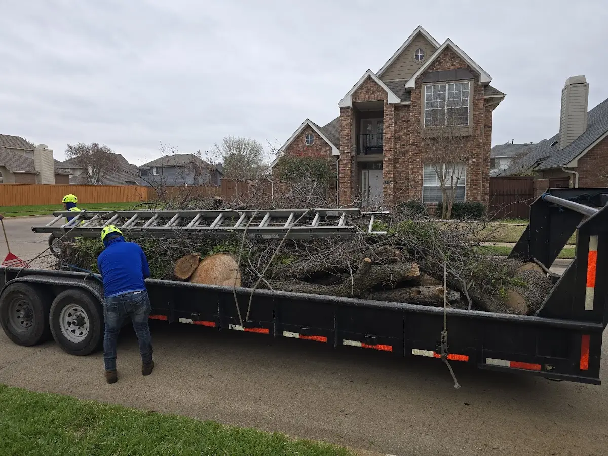 Expert Tree Pest Control with proper safety equipment in Jaffrey